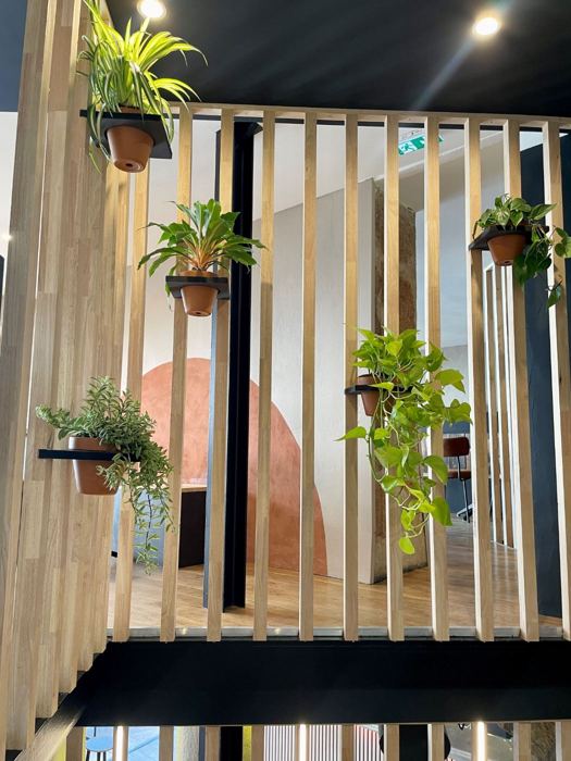 Claustra en bois et plantes suspendues