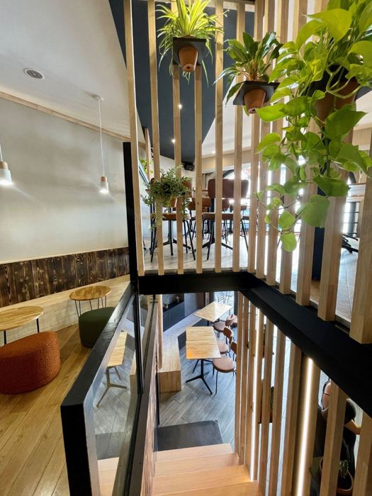 Plantes suspendues au-dessus des tables